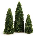Faux Boxwood Trees - Set of 3