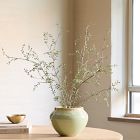 Faux Potted Sophora Prostrata Plant