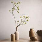 Faux Kangaroo Paw Stem