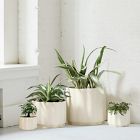 Wavy Ceramic Planters