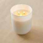 White Glass Candles - Marine Moss