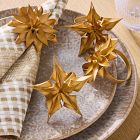 Naia Bentwood Napkin Ring Sets