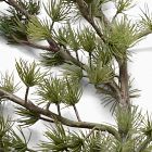 Faux Shimmer Pine Stem