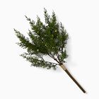 Faux Juniper Branch