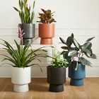 Bishop Ceramic Indoor/Outdoor Pedestal Planters