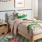 Dino In Lights Quilt &amp; Shams