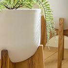 Max Planters w/ Stand