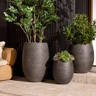 Curved Ficonstone Indoor/Outdoor Planter Collection