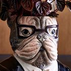 Dapper Animal Planters