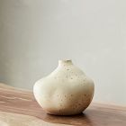 Organic Form Vases