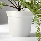 Faux Potted Long Drippy Plant