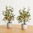 Faux Potted Tabletop Olive Tree - Set of 2