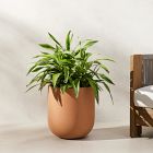 Radius Ficonstone Indoor/Outdoor Planters