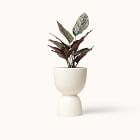 Franca NYC Stacked Planter