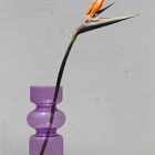 Osmos Studio Iris Vase