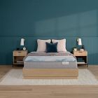 BeautySleep by Beautyrest Dream Weaver 12.5" Plush Hybrid Mattress