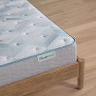 BeautySleep Dream Weaver 13.75" Plush Quilted Innerspring Mattress