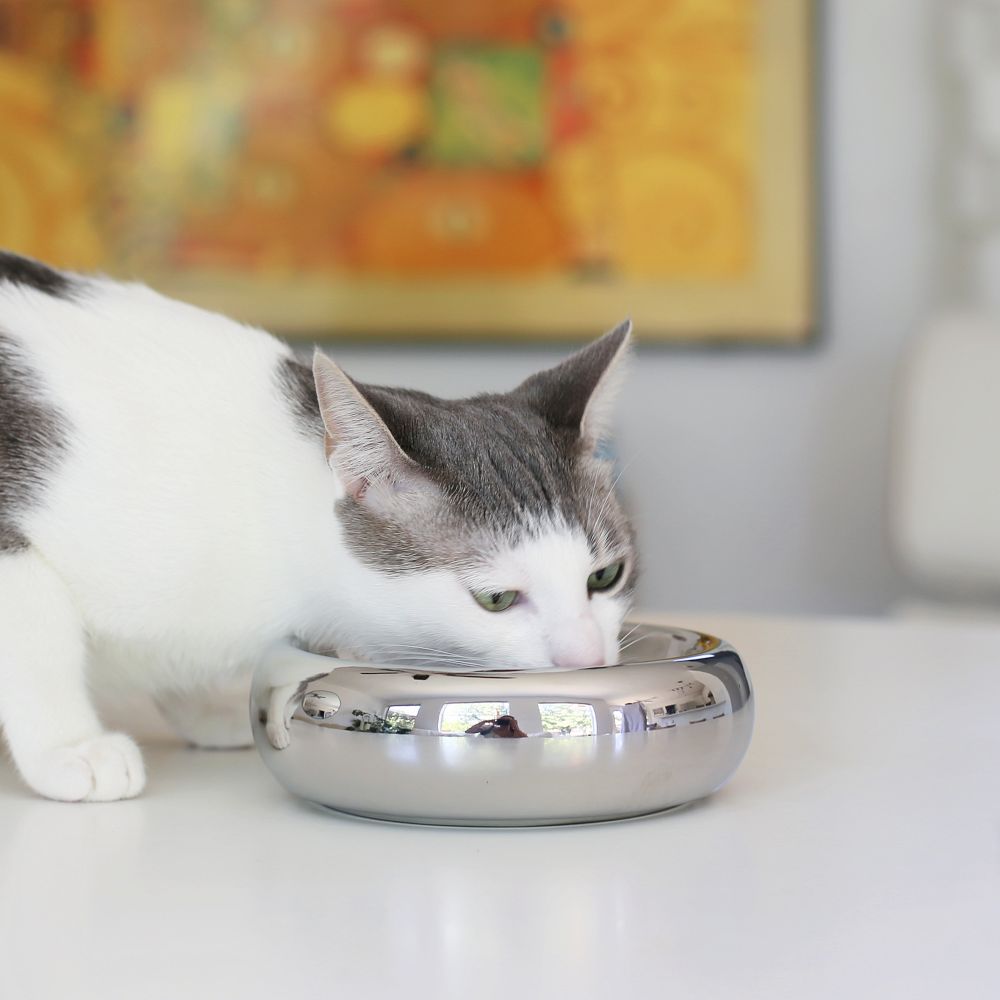 Catenary Halo Chrome Pet Bowl
