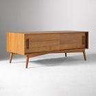 Mid-Century Wall Media Storage (48")