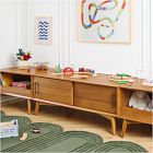 Mid-Century Wall Media Storage (48")