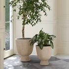 Colin King Ficonstone Indoor/Outdoor Pedestal Planters