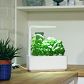 Video 1 for Smart Garden Seeds - Fruits &amp; Vegetables