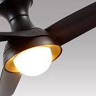 Vallie Ceiling Fan (54")