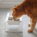 Pet Food Bowls