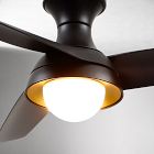 Vallie Ceiling Fan (54")