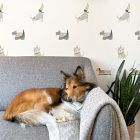 Mej Mej Dog Peel &amp; Stick Wall Decals