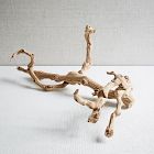 Natural Grapewood Branch