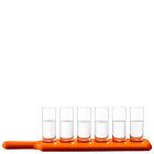 Paddle Pop Shot Glass Set &amp; Paddle