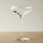 Build Your Own Martini Set