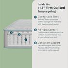 BeautySleep by Beautyrest® Slumberscape Mattress