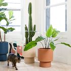 Faux Potted Cactus Plant