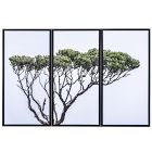 Tree of Life Framed Wall Art