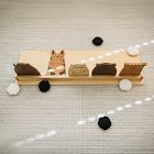 Wonder &amp; Wise Zoo Crew Bean Bag Toss