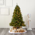 Pre-Lit Faux Sierra Spruce Christmas Tree (6')