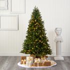 Pre-Lit Faux Sun Valley Fir Christmas Tree (5'&ndash;6')