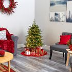 Pre-Lit Faux Vancouver Fir Christmas Tree (4'&ndash;8')