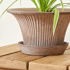 Bergs Daisy Indoor/Outdoor Tabletop Planters