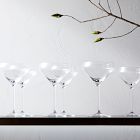 Schott Zwiesel Pure Crystal Martini Glasses (Set of 6)