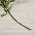 Faux Ficus Leaf Stem