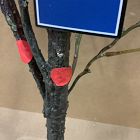 Open Box: Faux Potted Eucalyptus Tree