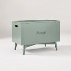 Mid-Century Toy Chest