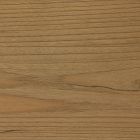 Close-up of wood grain with linear patterns and color