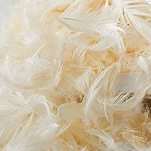 Bedding Essentials by Fill