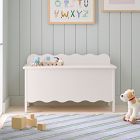 Daisy Toy Chest
