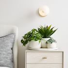 Dahlia Ceramic Planters - Set of 3