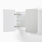 Frameless Seamless Double Wide Medicine Cabinet